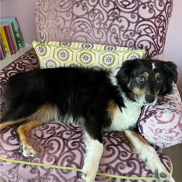 Meet your Posher, Ana - Picture 3 of 3